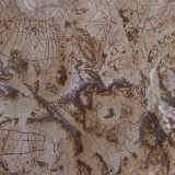 Ma nell�intricato insieme di simboli compaiono anche �griglie�, recinti, catene di losanghe, zigzag, frecce, stelle a cinque punte, segni cruciformi e diversi animali